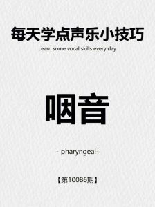 挑战高音壁垒_科学训练方法助歌手突破极限