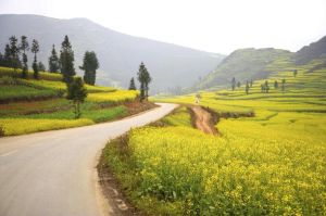 《故乡的泥土》_创业爱情剧，突破困境诠释乡土情深