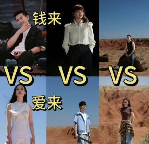 《再见爱人4》_麦琳争议行为，夫妻沟通边界难题