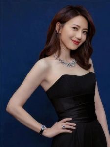 高圆圆_国民女神的演艺之路与慈善情怀