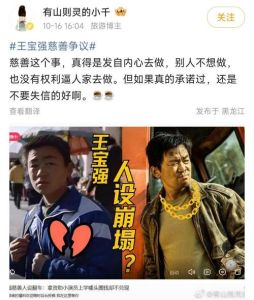 王宝强争议_慈善疑云与一亿欺诈指控真相