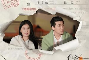 《再见爱人4》_真实争议下的纪实真人秀