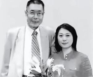 传奇夫妻离婚_盖燕刘诗昆的创业悲歌与家暴真相