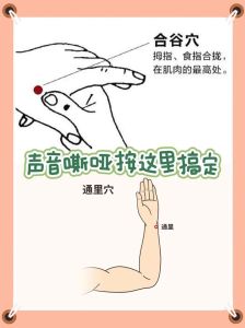 嗓子哑不求人，恢复清亮嗓音秘诀！