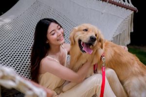 单身女子和狗狗 情感成长与社会意义