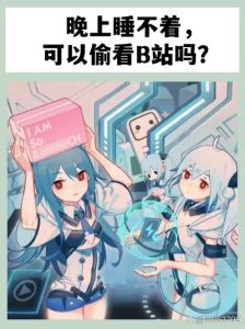 全球b站双人真人秀mv大片在线观看，二次元文化宝库，高清娱乐天堂