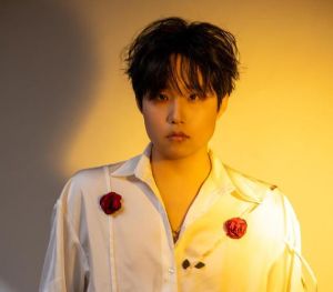 利比歌手唱歌一流吗-跳楼机爆红，华语乐坛新星崛起之谜