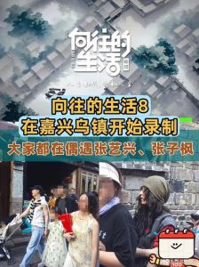 《向往的生活8》开播，老友回归，乌镇戏如人生引争议