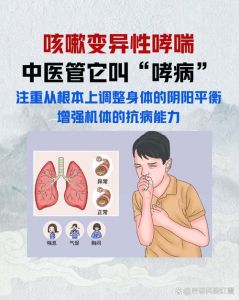 肺部罗音和哮鸣音_干啰音与哮鸣音的区别及应对