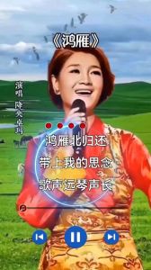 女中音适合唱的流行歌曲_女中音声音动人，像大地阳光，什么歌都能唱，快来试试！