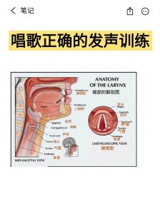 唱歌的正确发声方法_找到声音共鸣点，多练嗯声，放松声带，用肚子呼吸，坚持练习，唱歌才能越来越好！