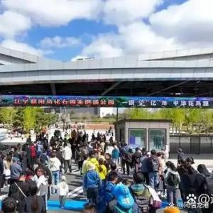 鸟鸟影院国产入口永久：这款平台有哪些亮点和使用体验的详细测评吗？