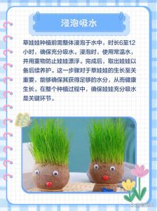植物生长与护理科普：了解嫩草生长周期及养护技巧解析